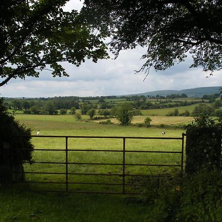 Brandon View House B&B Graiguenamanagh Exteriör bild