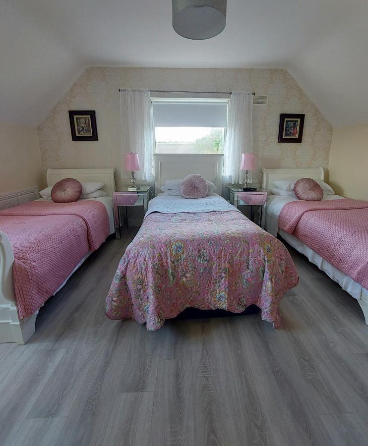 Brandon View House B&B Graiguenamanagh Exteriör bild