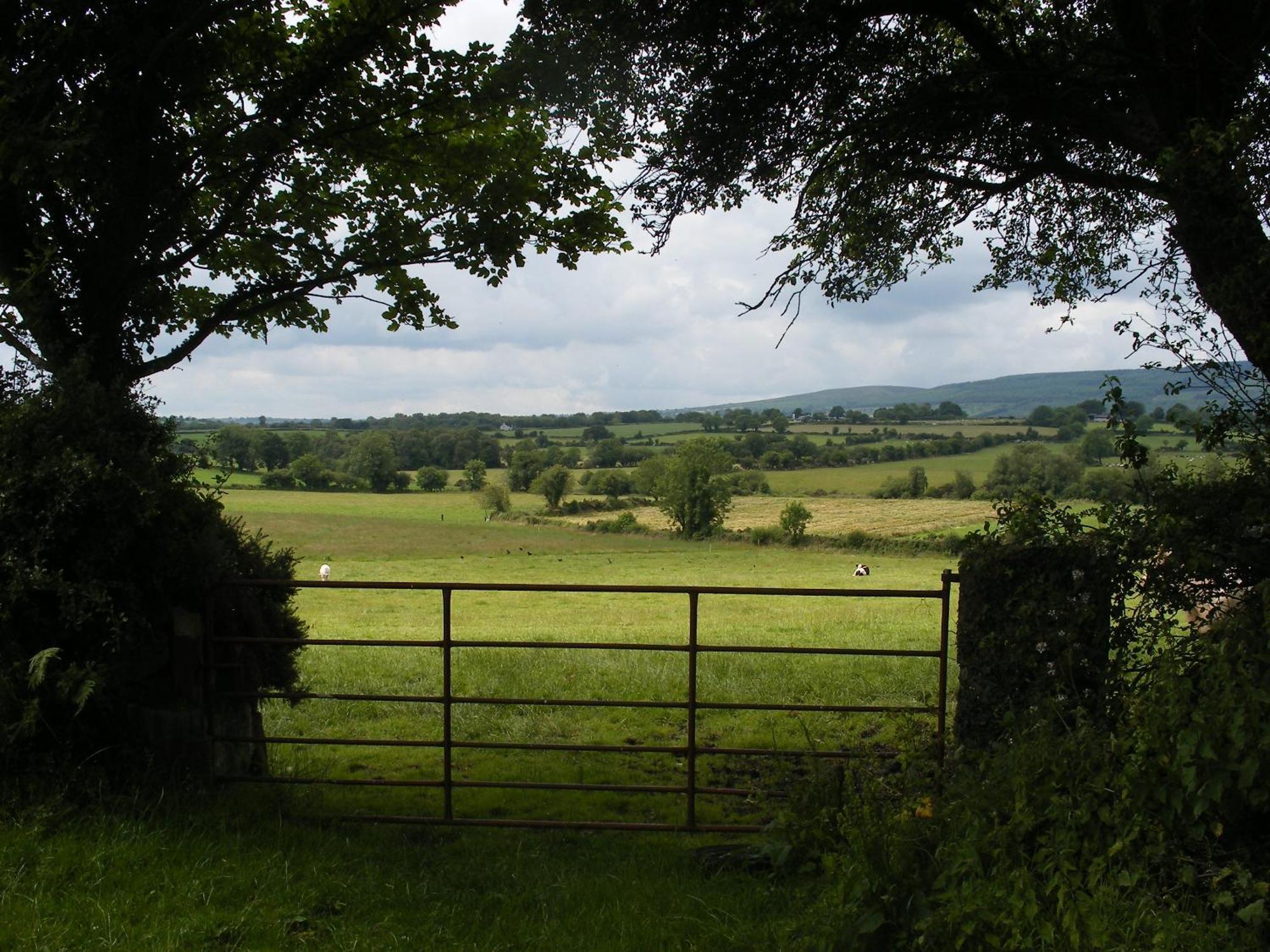 Brandon View House B&B Graiguenamanagh Exteriör bild