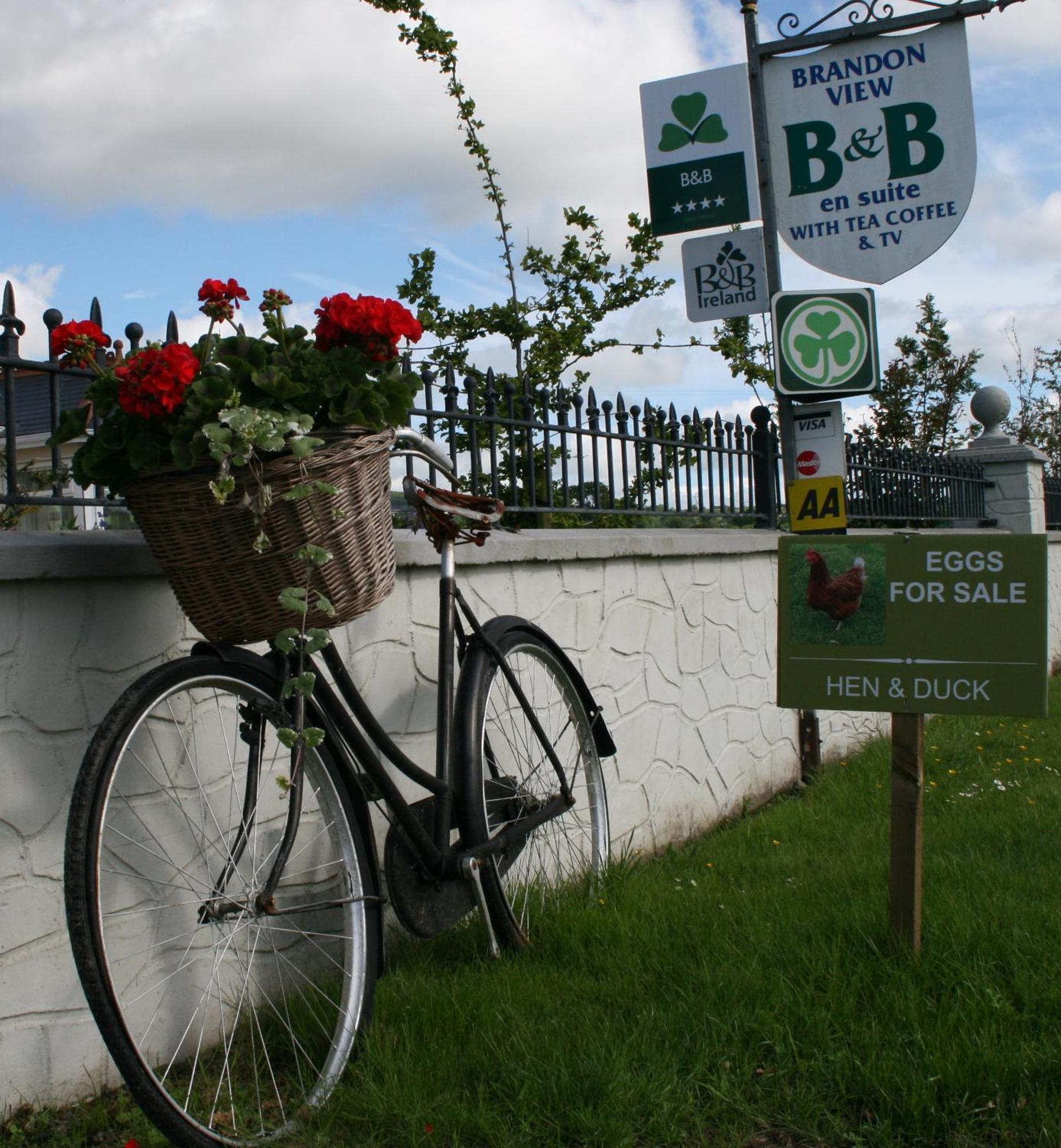Brandon View House B&B Graiguenamanagh Exteriör bild