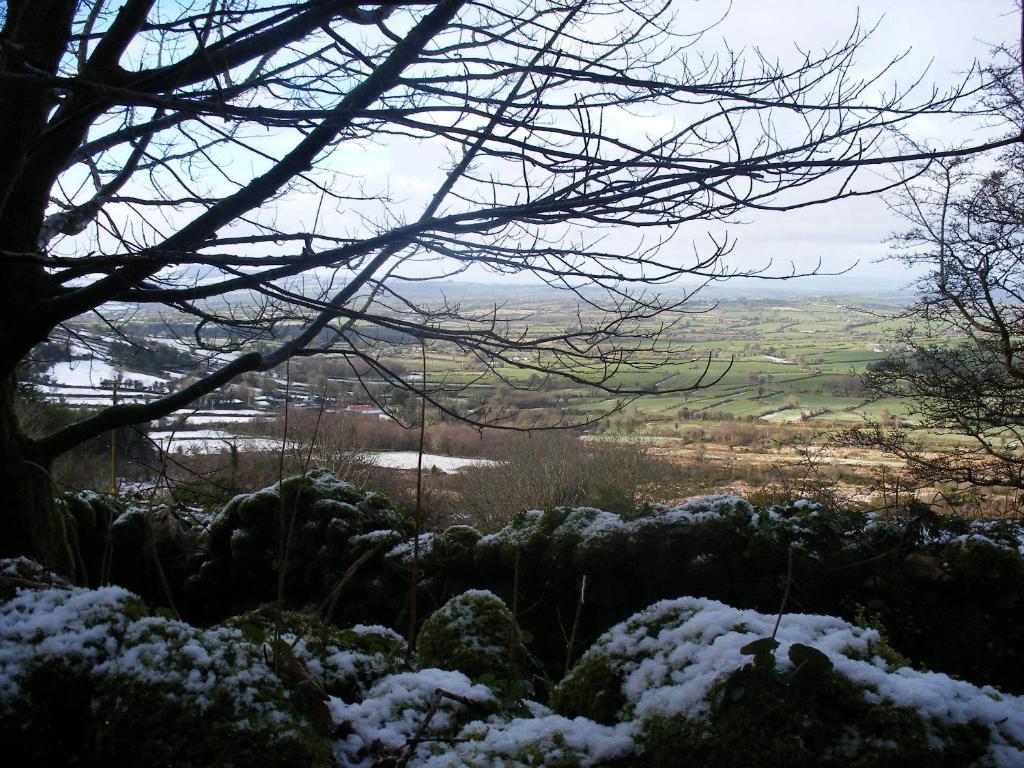 Brandon View House B&B Graiguenamanagh Exteriör bild