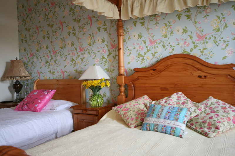 Brandon View House B&B Graiguenamanagh Exteriör bild