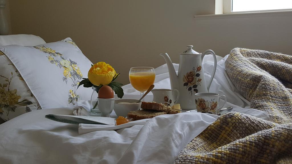 Brandon View House B&B Graiguenamanagh Exteriör bild
