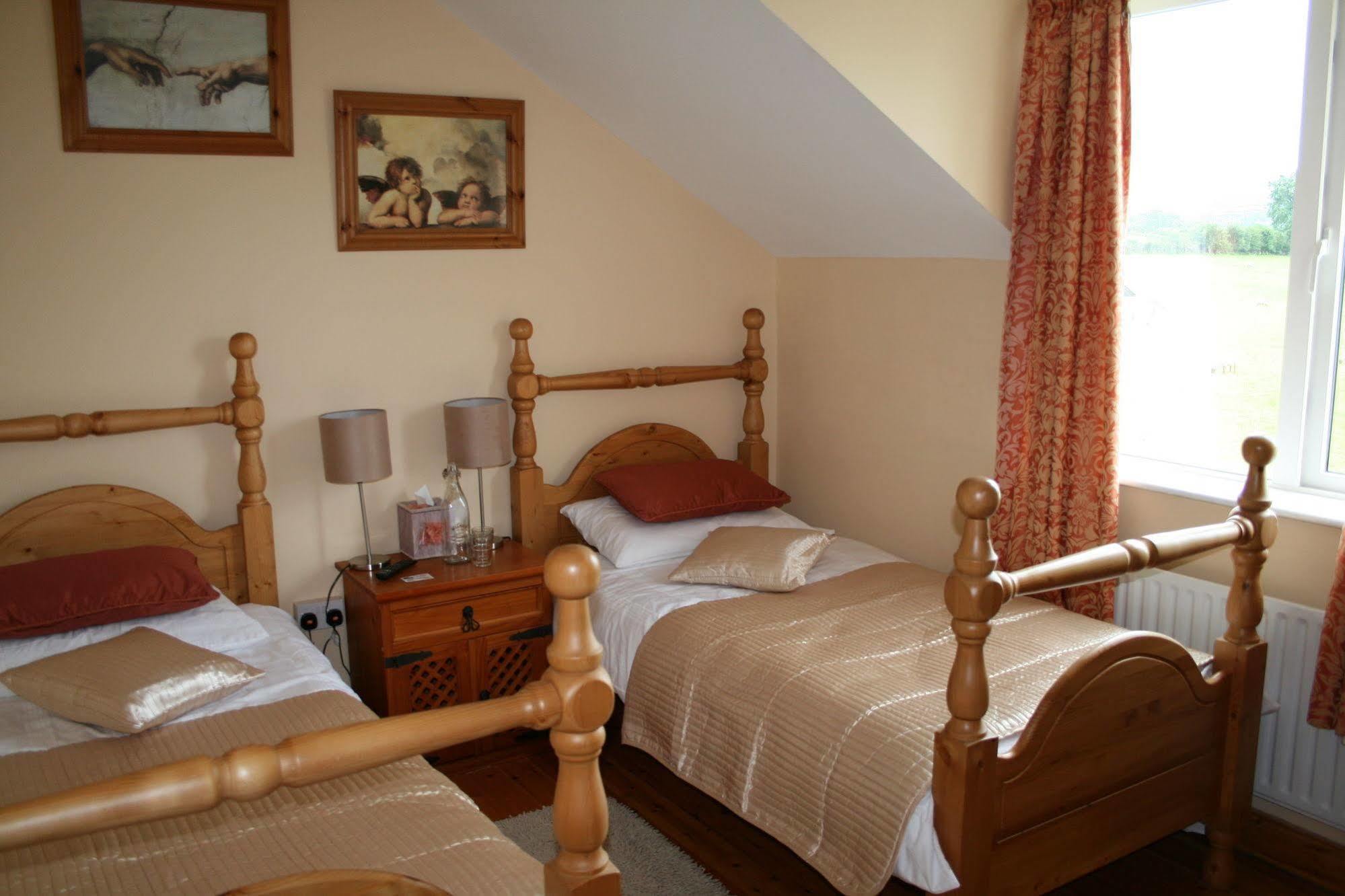 Brandon View House B&B Graiguenamanagh Exteriör bild