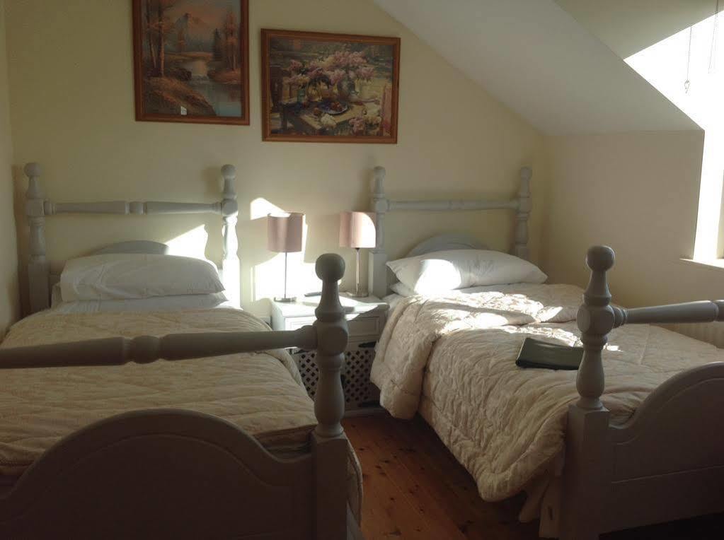 Brandon View House B&B Graiguenamanagh Exteriör bild