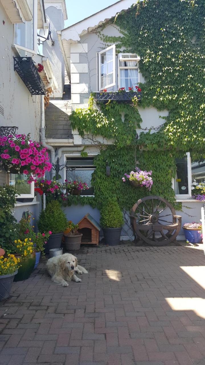 Brandon View House B&B Graiguenamanagh Exteriör bild