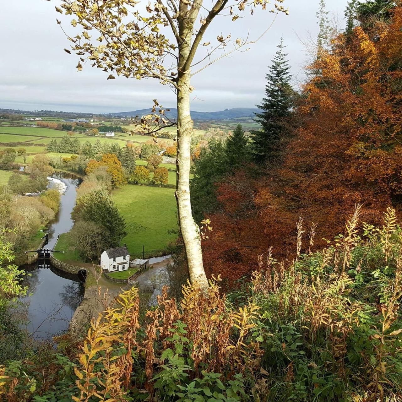 Brandon View House B&B Graiguenamanagh Exteriör bild